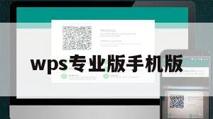 wps专业版手机版